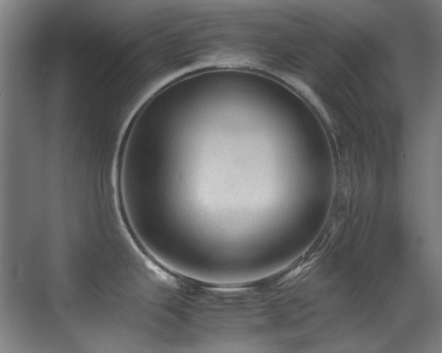 X0000070251343200606021146