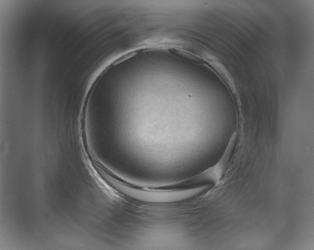X0000070251344200606021146