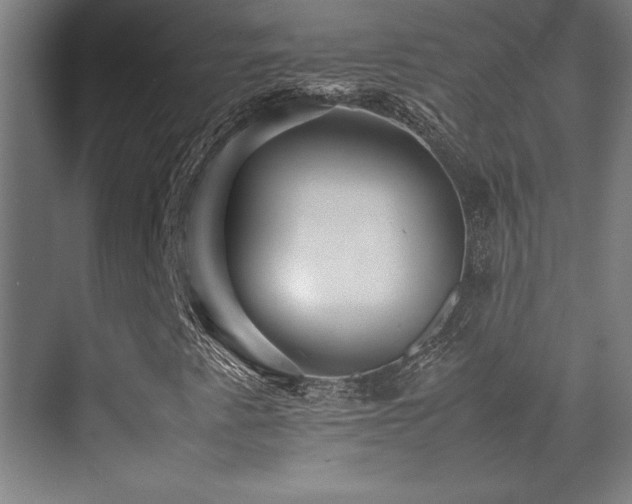 X0000070251345200606021145
