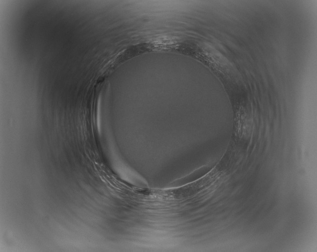 X0000070251346200606021145