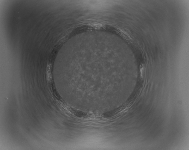 X0000070251347200606021145