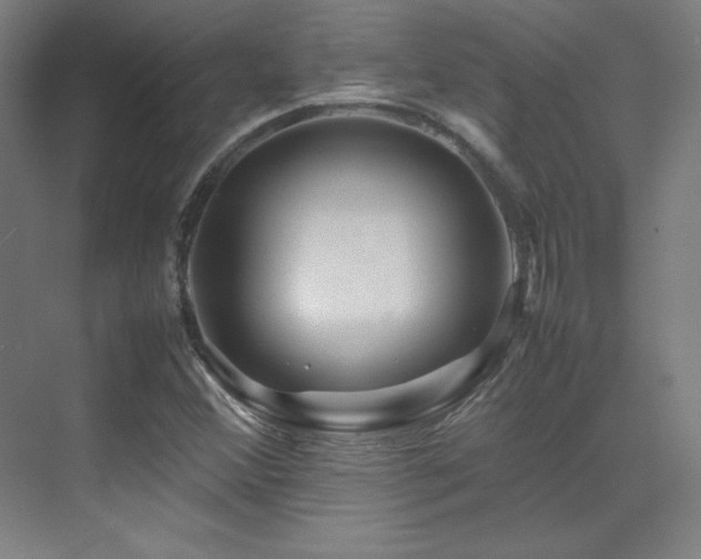 X0000070251356200606021145