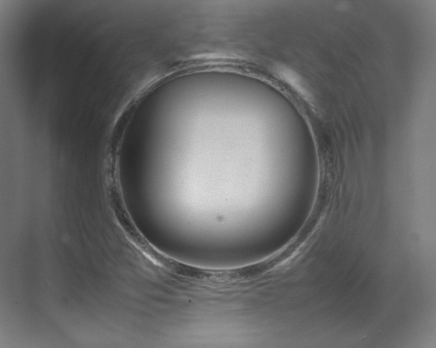 X0000070251357200606021145