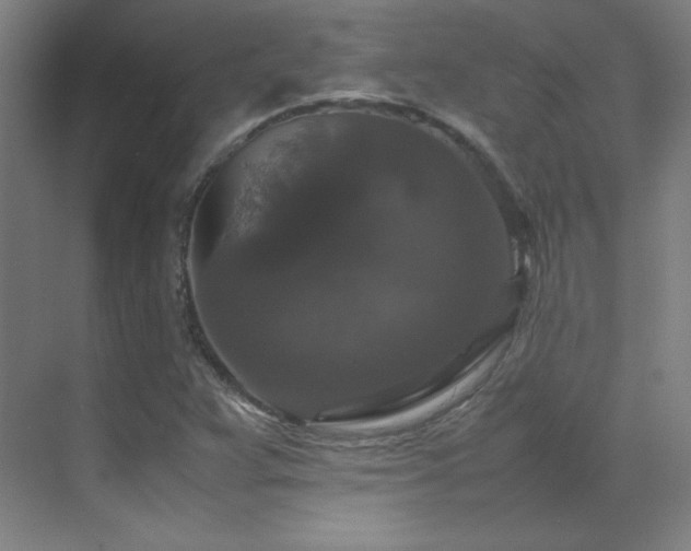 X0000070251359200606021145