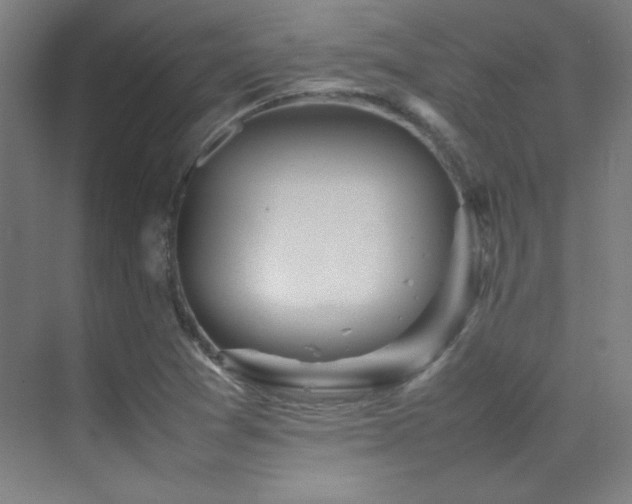 X0000070251361200606021145