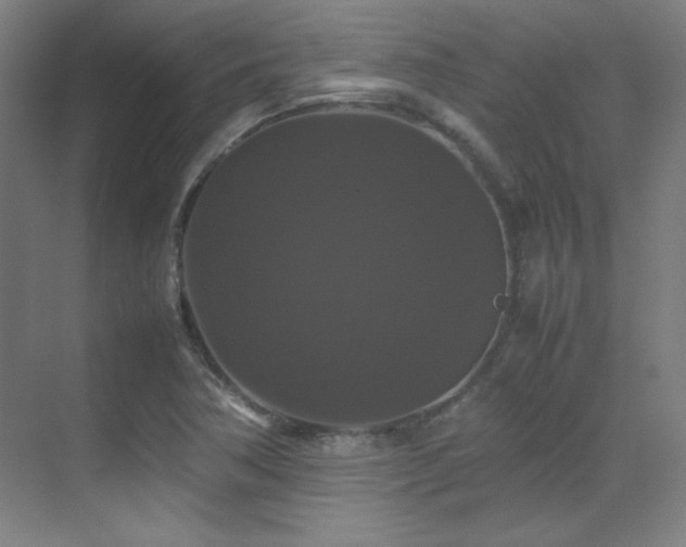 X0000070251362200606021145