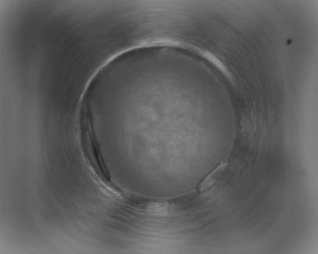 X0000070251364200606021145