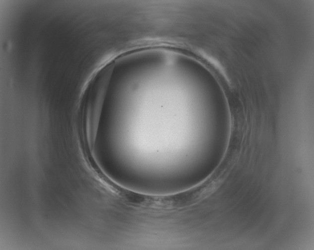 X0000070251365200606021145