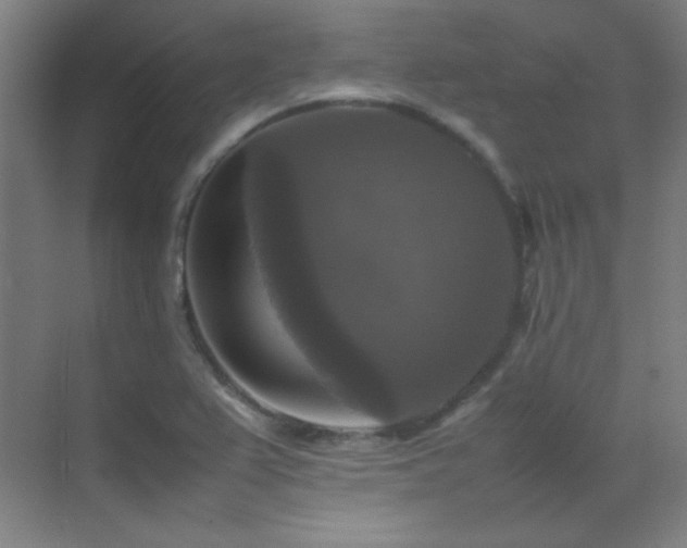 X0000070251367200606021145