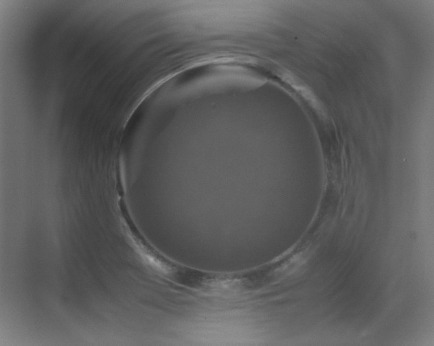 X0000070251369200606021145