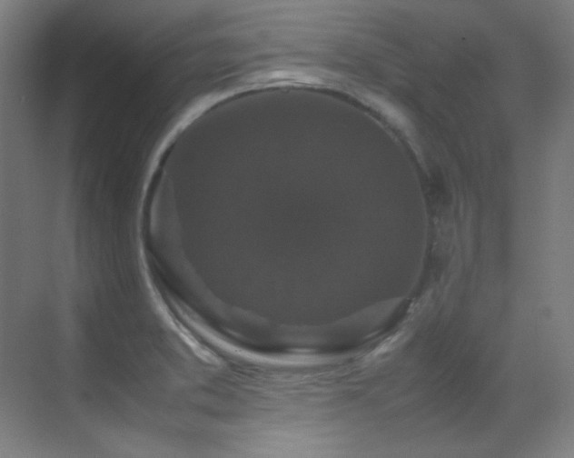 X0000070251373200606021145
