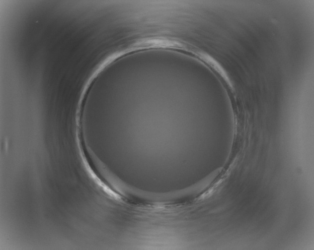 X0000070251381200606021145