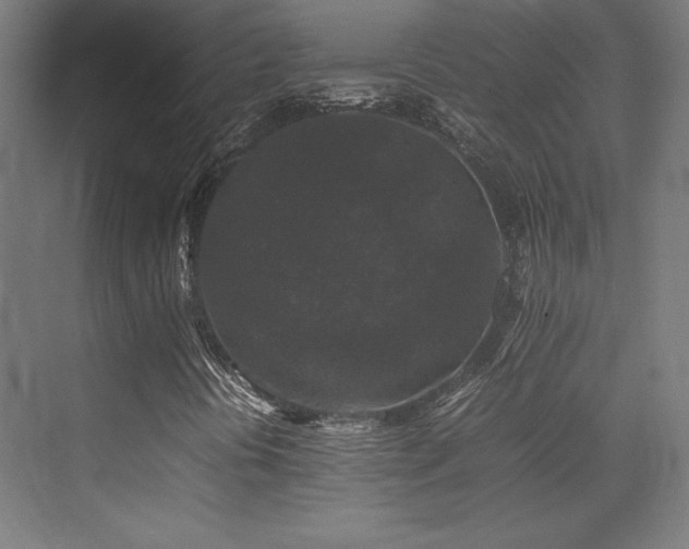 X0000070251394200606021144