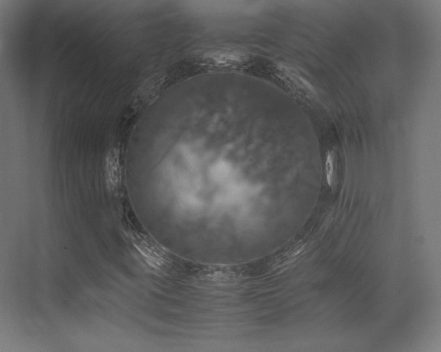 X0000070251395200606021144