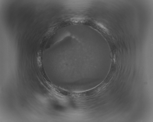 X0000070251396200606021144