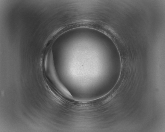 X0000070251402200606021144