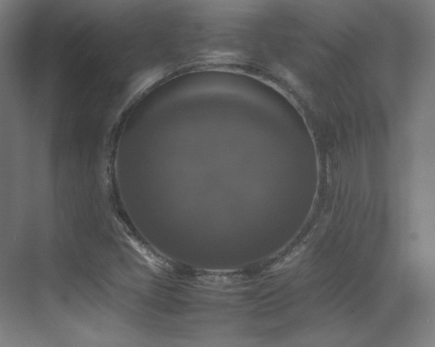 X0000070251405200606021144