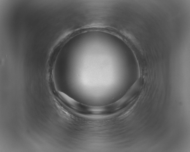 X0000070251406200606021144