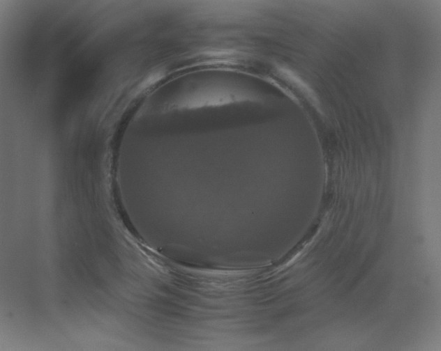 X0000070251411200606021144