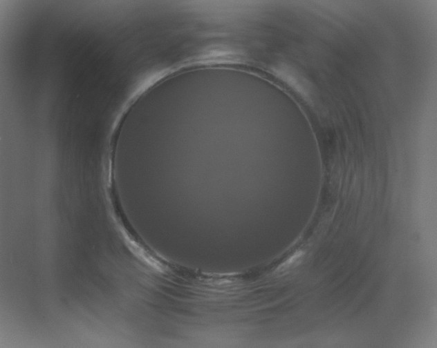 X0000070251413200606021144