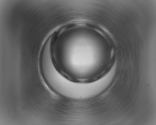 X0000070251418200606021144