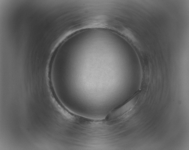 X0000070251422200606021144