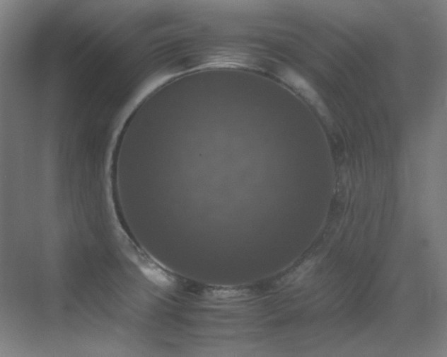 X0000070251427200606021144