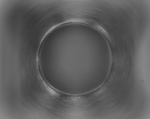 X0000070251428200606021144