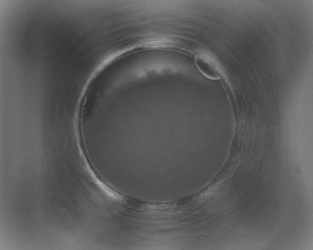 X0000070251429200606021144