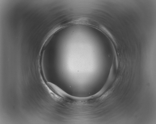 X0000070251434200606021144