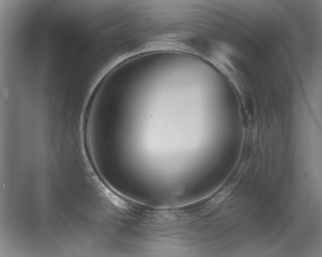 X0000070251438200606021144