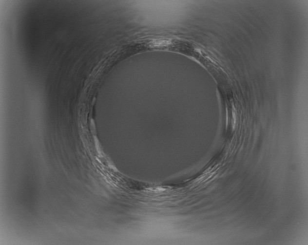 X0000070251441200606021143