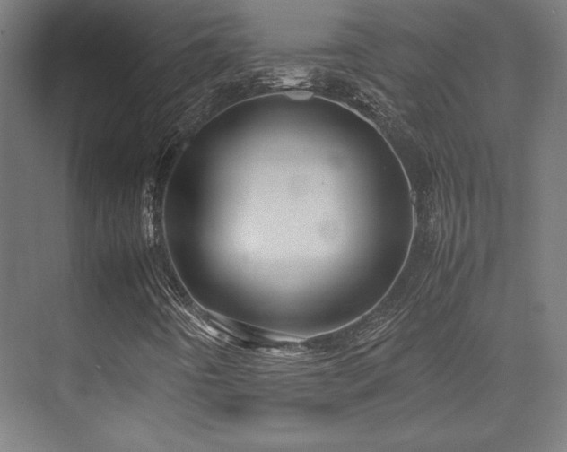 X0000070251442200606021143