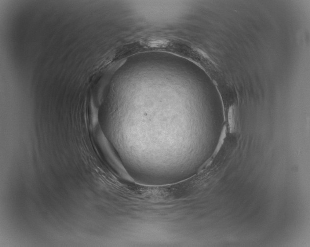 X0000070251443200606021143