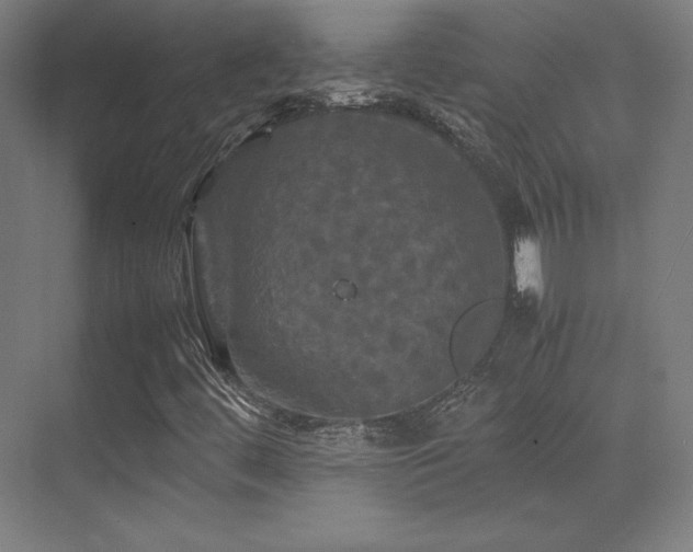 X0000070251444200606021143