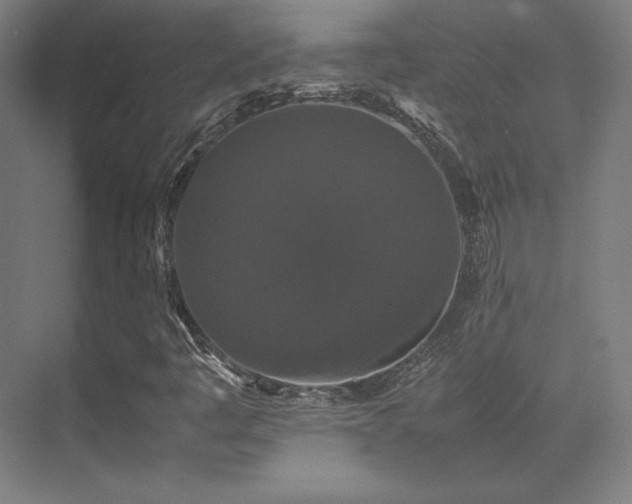 X0000070251445200606021143