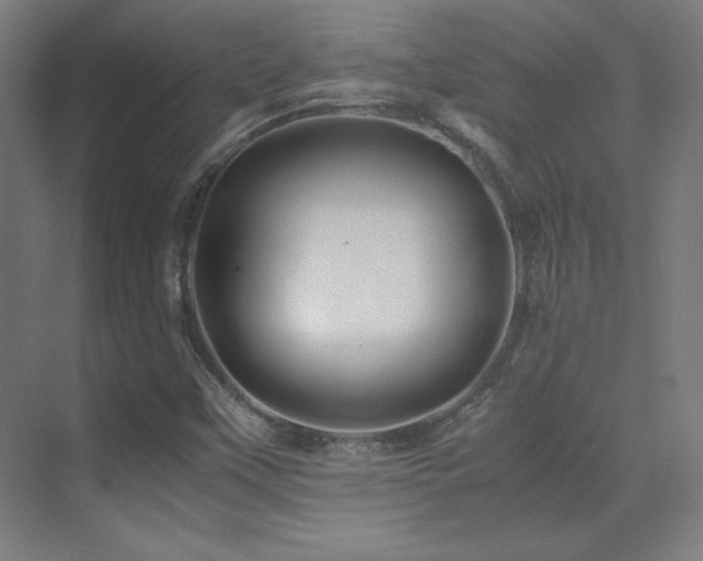 X0000070251451200606021143