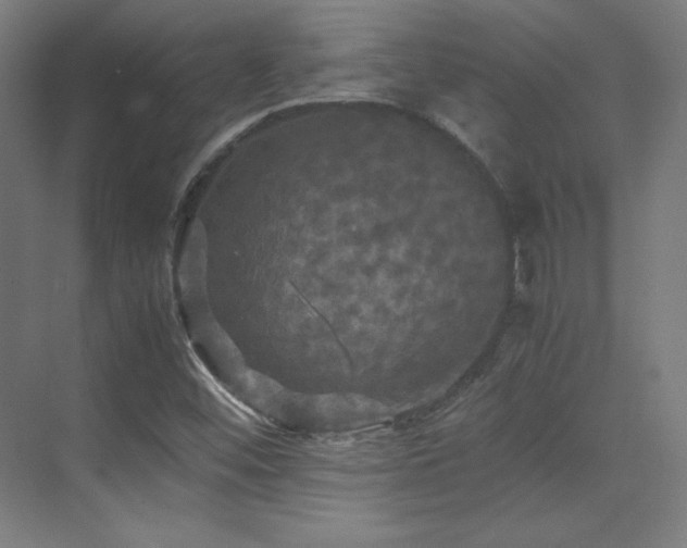 X0000070251452200606021143