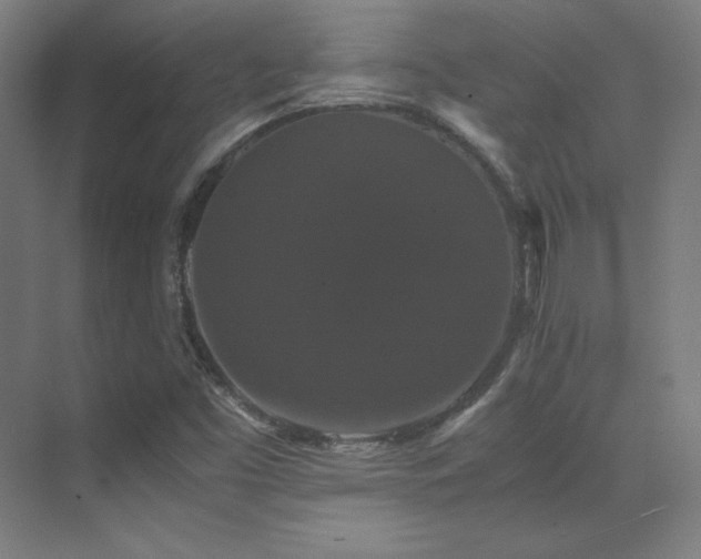 X0000070251453200606021143