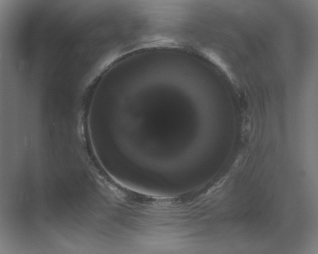 X0000070251455200606021143
