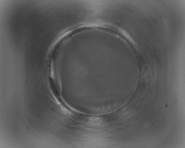 X0000070251456200606021143