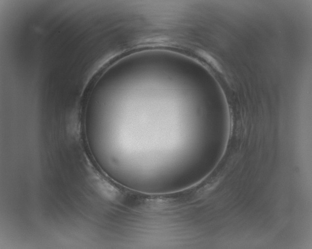 X0000070251458200606021143