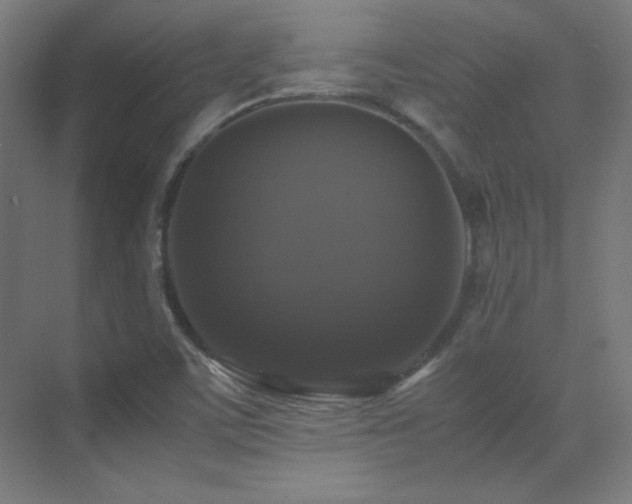 X0000070251459200606021143