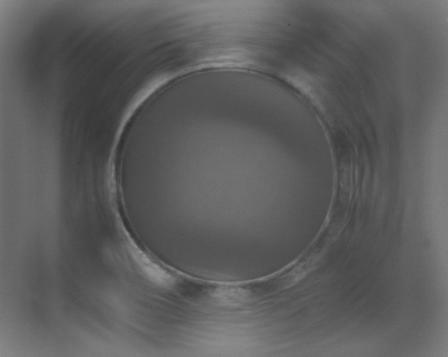 X0000070251466200606021143