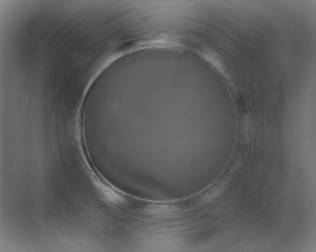 X0000070251474200606021143
