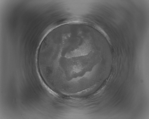 X0000070251483200606021143