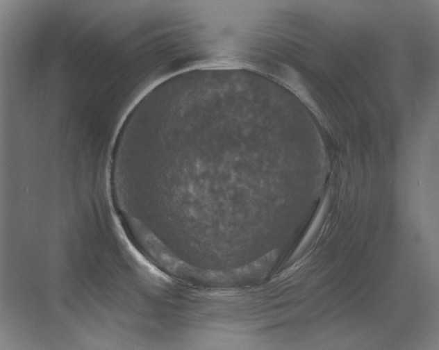 X0000070251484200606021143