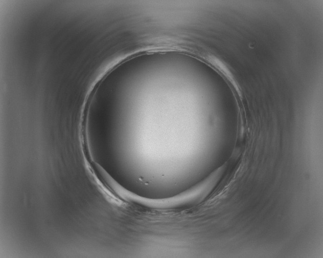 X0000070251485200606021143