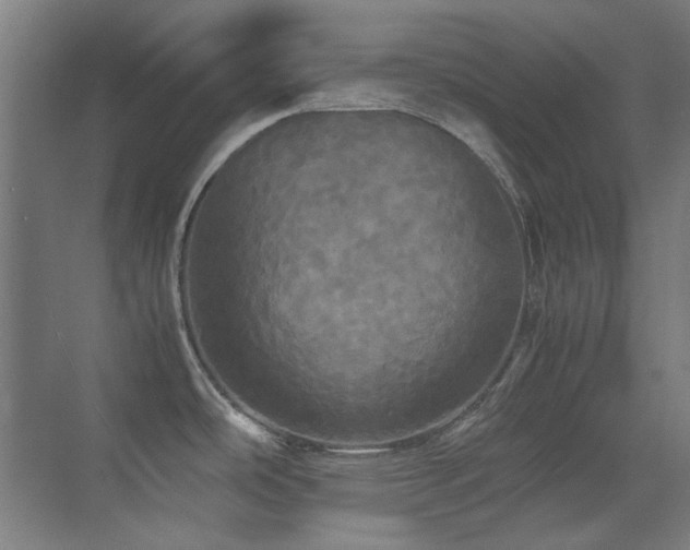 X0000070251486200606021143