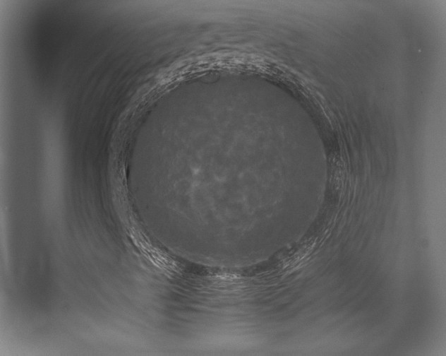 X0000070251489200606021142